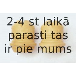 Буфер, амортизация SACHS 900 041