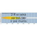 Tālās gaismas lukturis BOSCH 0 986 310 541