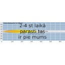 Tālās gaismas lukturis BOSCH 0 306 003 003