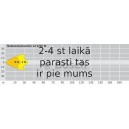 Miglas lukturis BOSCH 0 305 601 104