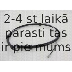 Trose, Stāvbremžu sistēma TRISCAN 8140 251137