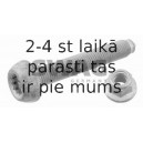 Skrūvju kompl., Amortizatora statnes-riteņu gultņa korpuss SWAG 30 92 7876