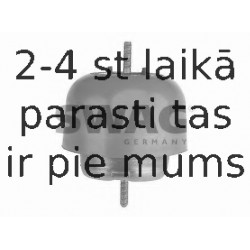 Piekare, Dzinējs SWAG 30 13 0039