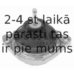 Piekare, Dzinējs SWAG 30 13 0037