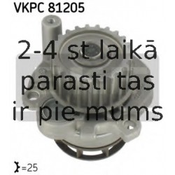 Ūdenssūknis SKF VKPC 81205