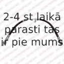 Тормозной шланг DELPHI LH6819