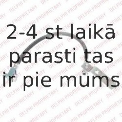 Тормозной шланг DELPHI LH6488