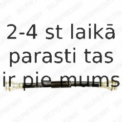 Тормозной шланг DELPHI LH6119