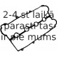 Прокладка, крышка головки цилиндра REINZ 71-52871-00