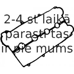 Прокладка, крышка головки цилиндра REINZ 71-52871-00