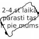 Прокладка, крышка головки цилиндра REINZ 71-52768-00