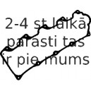 Прокладка, крышка головки цилиндра REINZ 71-52644-00