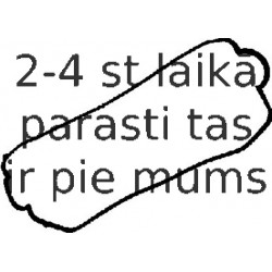 Прокладка, крышка головки цилиндра REINZ 71-52357-00