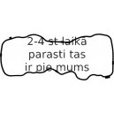 Прокладка, крышка головки цилиндра REINZ 71-40021-00