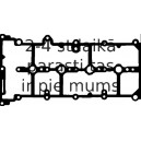 Прокладка, крышка головки цилиндра REINZ 71-36262-00