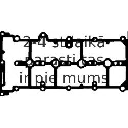 Прокладка, крышка головки цилиндра REINZ 71-36262-00