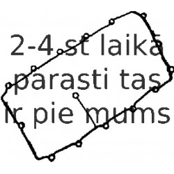 Прокладка, крышка головки цилиндра REINZ 71-36053-00