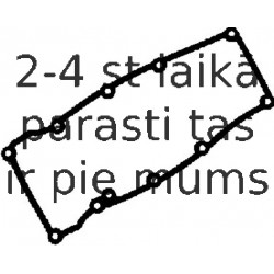 Прокладка, крышка головки цилиндра REINZ 71-35534-00