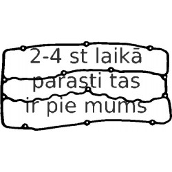 Прокладка, крышка головки цилиндра REINZ 71-53193-00