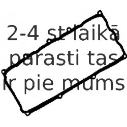 Прокладка, крышка головки цилиндра REINZ 71-53146-00