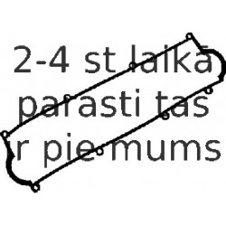 Прокладка, крышка головки цилиндра REINZ 71-52291-00
