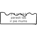 Прокладка, крышка головки цилиндра REINZ 71-35638-10