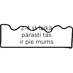 Прокладка, крышка головки цилиндра REINZ 71-35638-10