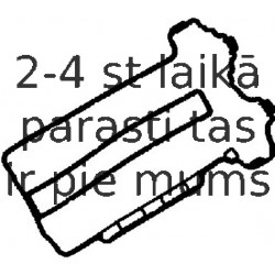 Прокладка, крышка головки цилиндра REINZ 71-34167-00