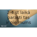 Прокладки твердого материала REINZ 70-31222-00