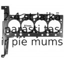 Прокладка, головка цилиндра REINZ 61-35420-20