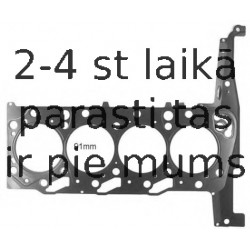 Прокладка, головка цилиндра REINZ 61-35420-10