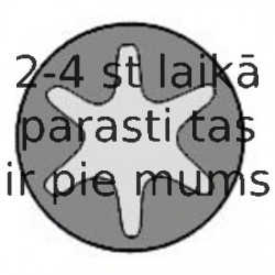 Комплект болтов головки цилидра REINZ 14-32017-01