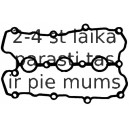 Прокладка, крышка головки цилиндра REINZ 71-36046-00