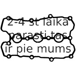 Прокладка, крышка головки цилиндра REINZ 71-36046-00