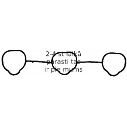 Blīve, Ieplūdes kolektors REINZ 71-34241-00