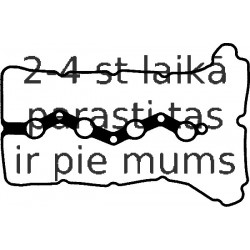 Прокладка, крышка головки цилиндра REINZ 71-54092-00