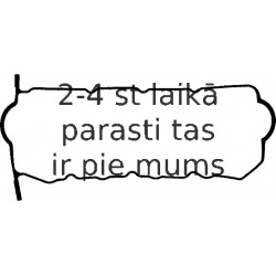 Прокладка, крышка головки цилиндра REINZ 71-53098-00