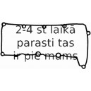 Прокладка, крышка головки цилиндра REINZ 71-40488-00