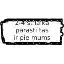 Прокладка, маслянный поддон REINZ 71-38669-00