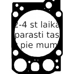 Прокладка, головка цилиндра REINZ 61-34190-10