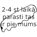 Прокладка, крышка головки цилиндра REINZ 71-53101-00