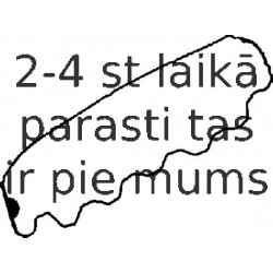 Прокладка, крышка головки цилиндра REINZ 71-53101-00