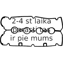 Прокладка, крышка головки цилиндра REINZ 71-36612-00