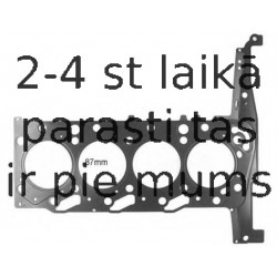 Прокладка, головка цилиндра REINZ 61-35425-10