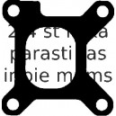 Blīve, Izplūdes kolektors REINZ 71-34176-00