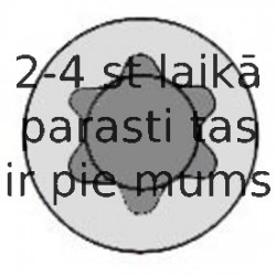 Комплект болтов головки цилидра REINZ 14-32102-01