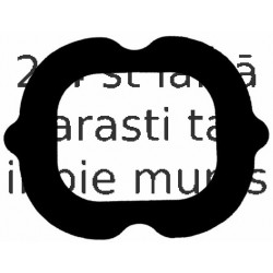 Blīve, Ieplūdes kolektors REINZ 71-39089-00