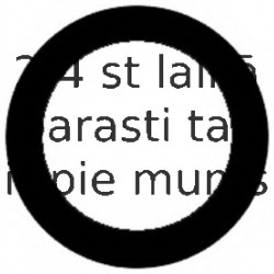 Blīve, Izplūdes kolektors REINZ 71-37134-00