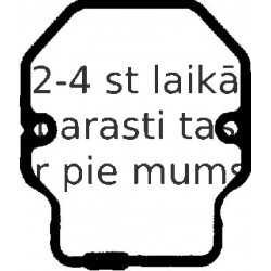 Прокладка, крышка головки цилиндра REINZ 71-36348-00