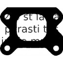 Blīve, Izplūdes kolektors REINZ 71-36134-00